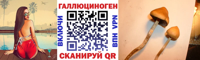 Купить где  Мелеуз  Псилоцибиновые грибы мухоморы 